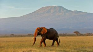 4x4 rental for safaris in Uganda Kenya Rwanda and Tanzania